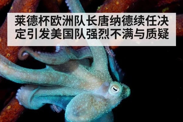莱德杯欧洲队长唐纳德续任决定引发美国队强烈不满与质疑