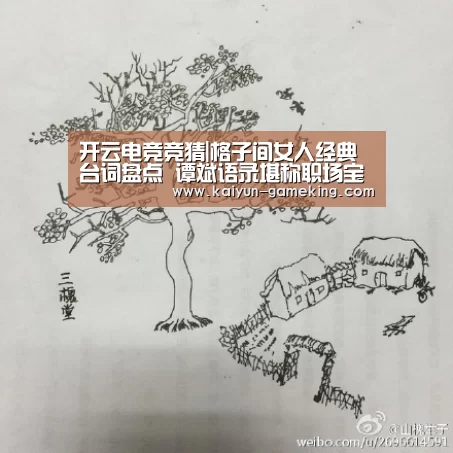 开云体育