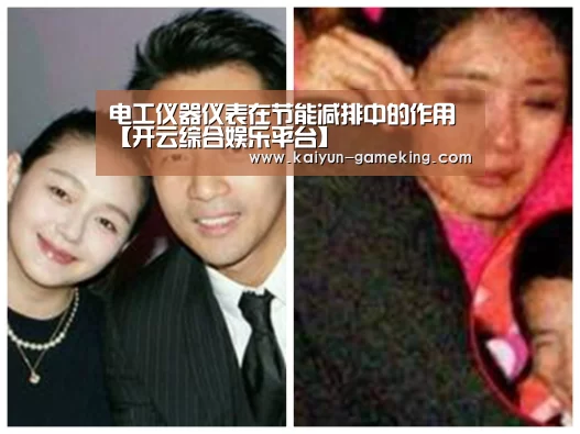 电工仪器仪表在节能减排中的作用【开云综合娱乐平台】(图1) 开云综合娱乐平台