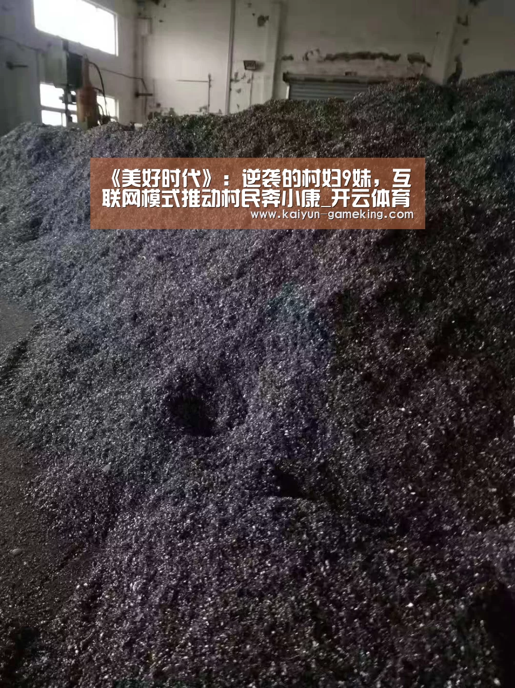 开云体育竞猜