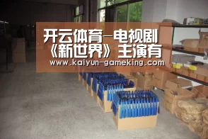 开云体育-电视剧《新世界》主演有谁?主要剧情讲述什么?(图1) 开云电竞竞猜