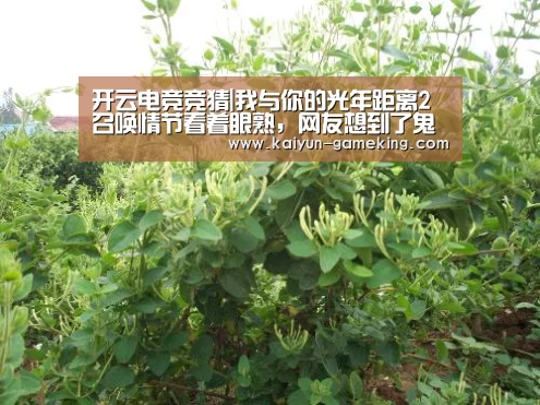 开云电竞竞猜|我与你的光年距离2召唤情节看着眼熟,网友想到了鬼怪(图2) 开云体育