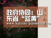 政府协同:山东省“蓝黄”经济一体化的战略引擎|开云体育(图1) 开云体育竞猜