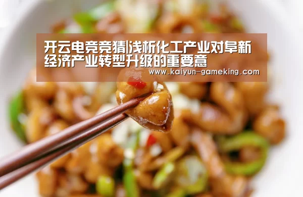 开云电竞竞猜|浅析化工产业对阜新经济产业转型升级的重要意(图2) 开云综合娱乐平台